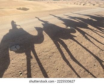 7,964 Camel Shadow Images, Stock Photos & Vectors | Shutterstock