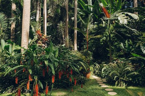 Hunte's Garden in Barbados - Haarkon | Botanical gardens, Tropical ...