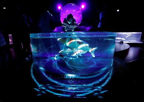 PHOTOS: Hidetomo Kimura’s Tokyo art aquarium features 30,000 fish as ...