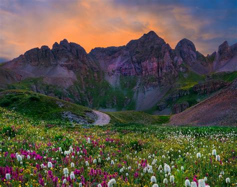 Download Grass Field Flower Mountain Nature Landscape HD Wallpaper