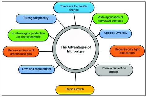 The benefits of microalgae. | Download Scientific Diagram