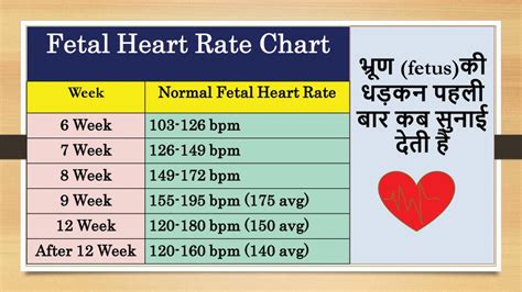 Normal fetal heart rate at 6 weeks - mombery