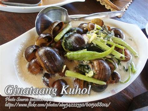 https://www.panlasangpinoymeatrecipes.com/ginataang-kuhol-recipe.htm #GinataangKuhol Filipino ...