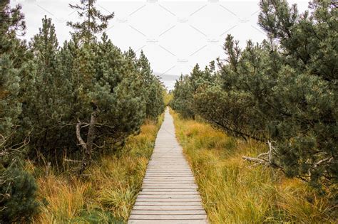 Wooden hiking trail though the fen featuring fall, autumn, and hike | Nature Stock Photos ...