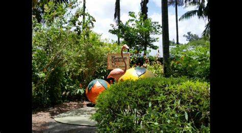 Flamingo Gardens | South Florida Finds