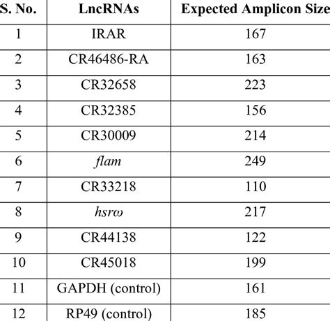 Overview of the PCR amplicon size for the designed primers. | Download ...