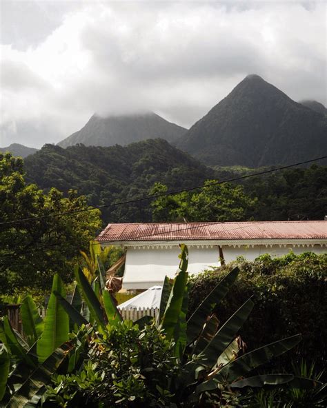 Le Jardin de Balata, Martinique - is this the real life Garden of Eden?