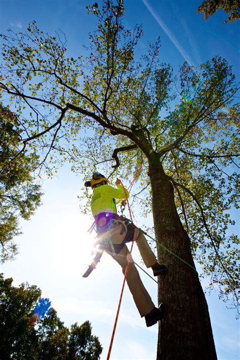 Washington Trust for Historic Preservation — Bartlett Tree Experts