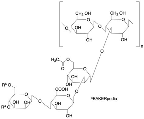 Chemical structure of xanthan gum.