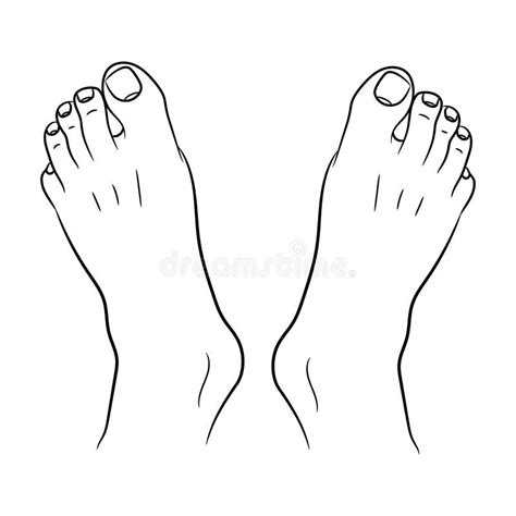 Feet Men Top View from the Contour Black Lines White of Illustration ...