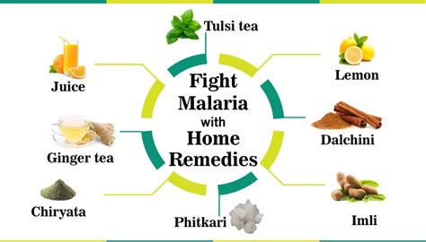 Fight Malaria with 14 Easy Home Remedies | Healthmug