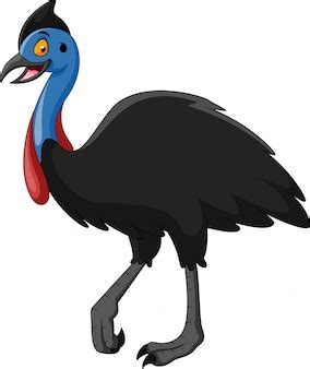 Free Vector | Vintage cassowary bird illustration vector