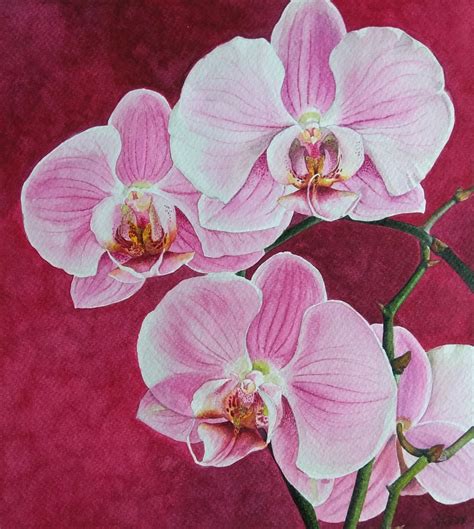 Buy Orchids Handmade Painting by Bibaswan Chakrabarty. Code:ART_3116_21726 - Paintings for Sale ...