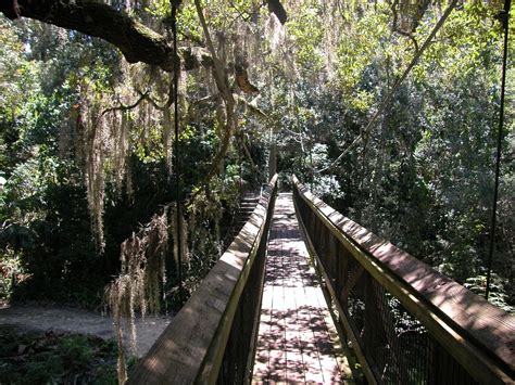 Aquarian Bath: Photos from Ravine Gardens State Park