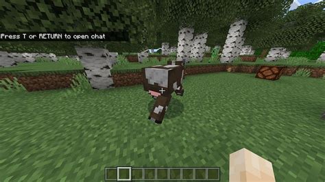 What are Lecterns in Minecraft? How to Make and Use it?