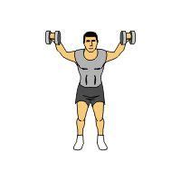 Over 20 Dumbbell Exercises Complete with Animated Diagrams | Dumbbell workout, Lat workout, Exercise