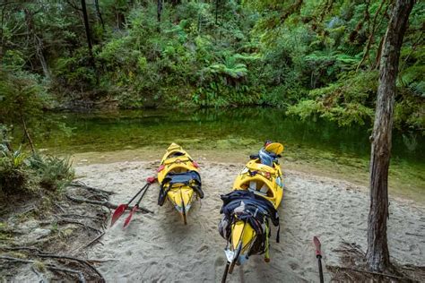 3 Days Kayaking in Abel Tasman (Everything You Need to Know in 2024)