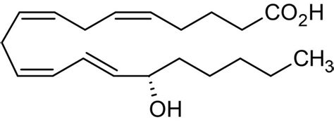 15(S)-HETE, Metabolite of arachidonic acid (CAS 54845-95-3) (ab141644 ...