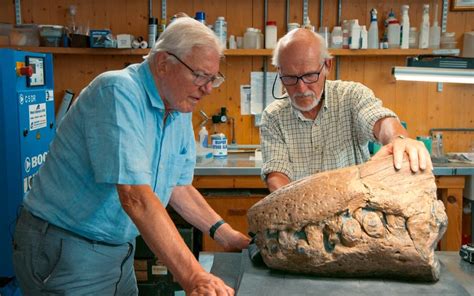 Attenborough unveils ‘T-Rex of the sea’ with 150-million-year-old fossil