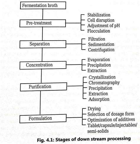 Downstream Processing - Biology Ease