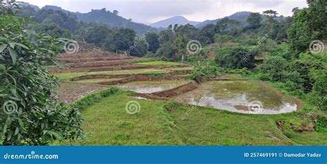 Steps Farming in Sloping Land Stock Image - Image of reservoir ...