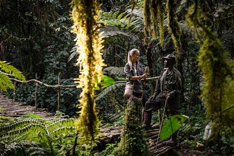 Bwindi Impenetrable National Park • Gorilla Destination in Uganda