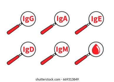 IGA Logo Vector (.CDR) Free Download