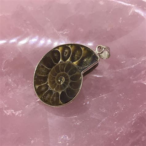 Ammonite Fossil Pendant - Into the Mystic Shop