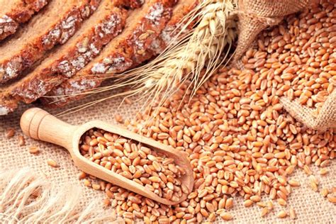 Health Benefits of Wheat and Its Nutritional Value