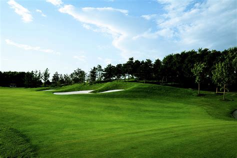 Golf Course Background - Xlarge by Phototalk