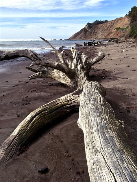 Agate Beach | Marin Open Studios