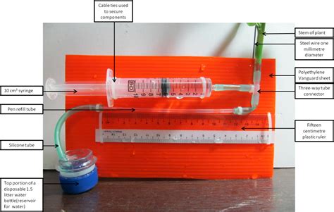 the potometer diagram – Blog for Medad Rufus Newman