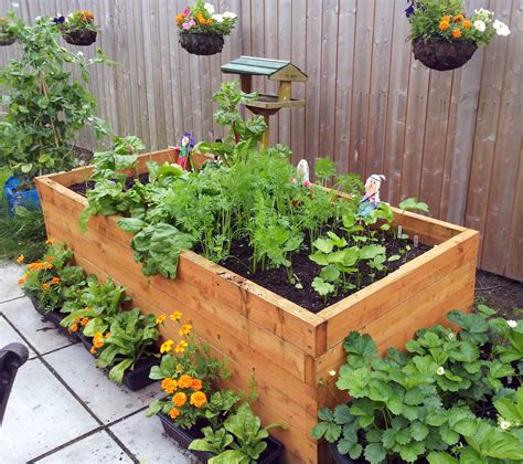 Growing vegetables in containers