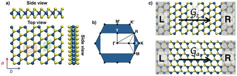 The atomic structure of 2D transition-metal dichalcogenides of TS2... | Download Scientific Diagram