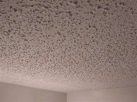 Best Paint To Over Popcorn Ceilings | Homeminimalisite.com