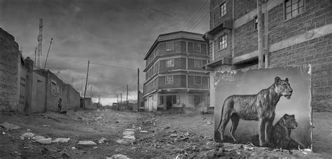 Nick Brandt: Inherit the Dust | MONOVISIONS - Black & White Photography Magazine