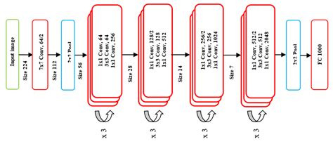 The proposed Resnet50 CNN architecture | Download Scientific Diagram