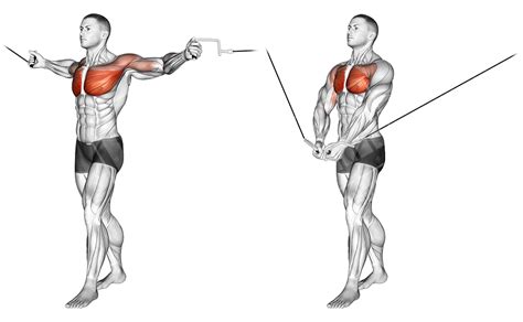 Best Chest Exercises Using Cables