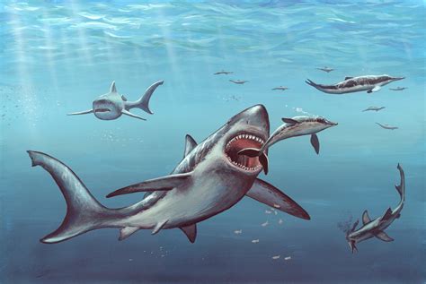 11 Facts About Megalodon, the Giant Prehistoric Shark
