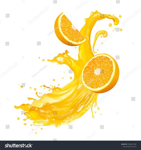 Orange Juice Splash Fresh Oranges Vector Stock Vector (Royalty Free) 1804422748