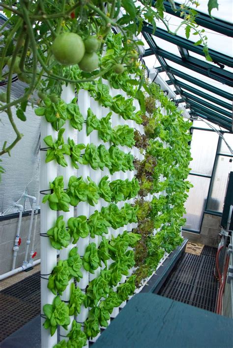 Our 80º Vertical Aquaponics System is all about saving both SPACE ...