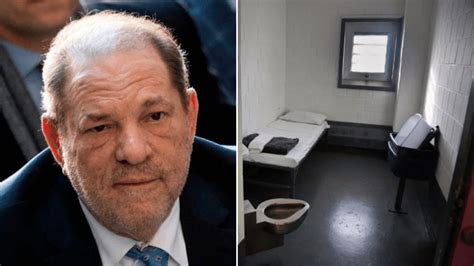 Harvey Weinstein jail officials ‘fear Jeffrey Epstein incident’ | Metro News