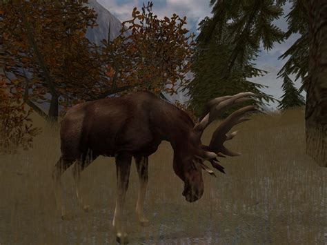 Screenshot of Cabela's Big Game Hunter 2004 (Windows, 2003) - MobyGames