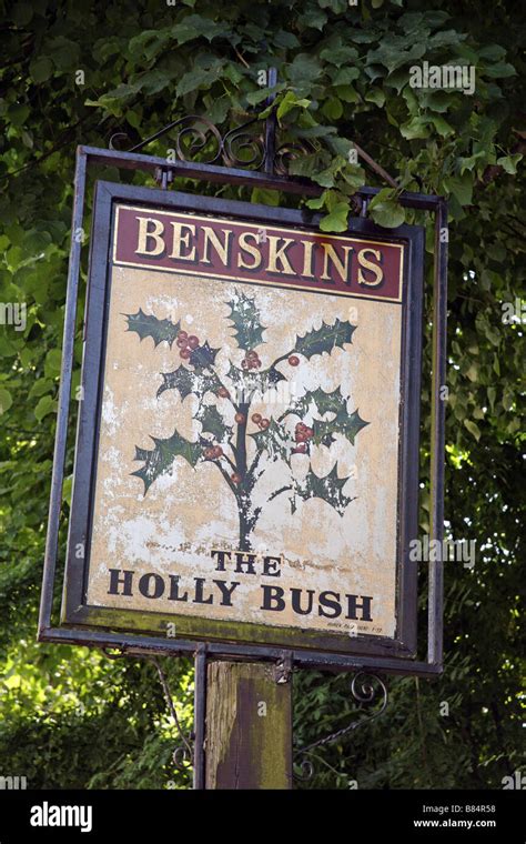 Holly bush pub hi-res stock photography and images - Alamy