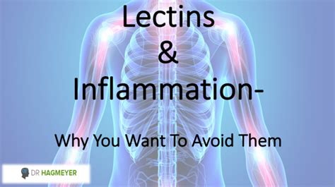 Lectins and Inflammation- Why You Want To Avoid Them