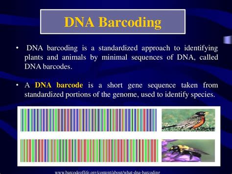 DNA BarcodING IN ANIMALS