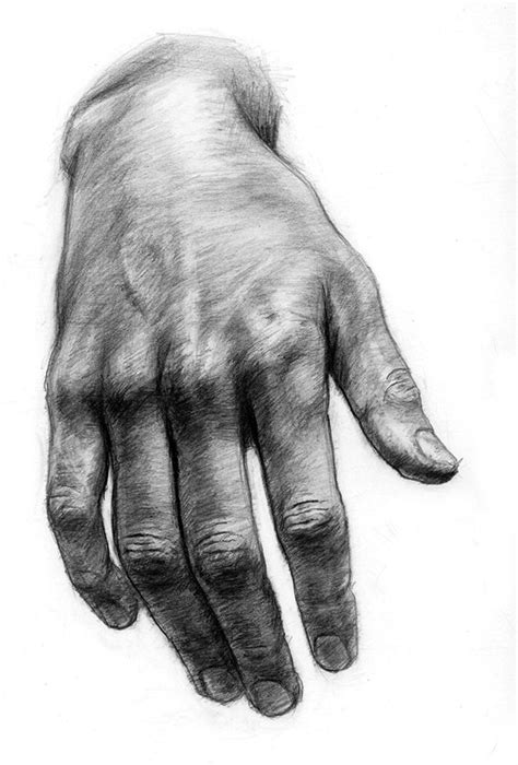 293 best [ observation drawings ] objects images on Pinterest | Pencil art, Chiaroscuro and ...