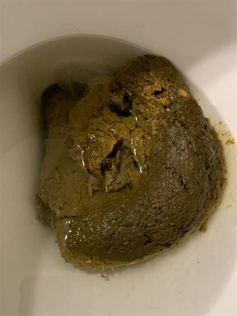 A humongous stinky shit : poop