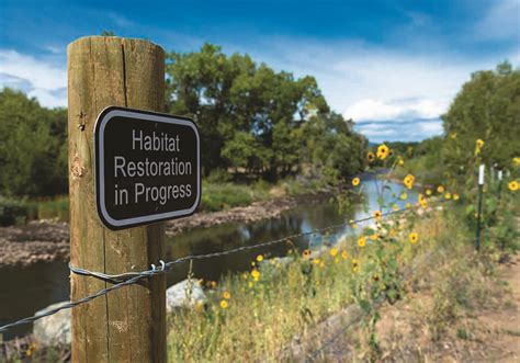 New Habitat Restoration Tool Helps to Prioritize Equity