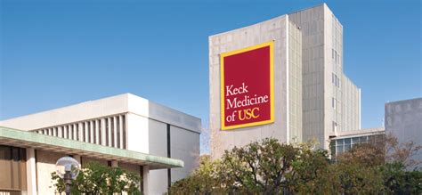 Keck School of Medicine of USC receives $2.2 million NIH grant for bone repair research – Oasis ...